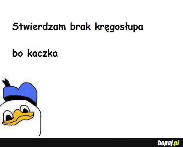 Kaczka2