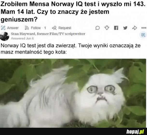 Mensa Norway