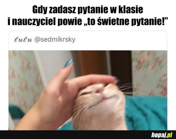 Każdy lubi to uczucie