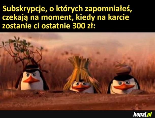 Kiedy zapomnisz anulować subskrypcji po okresie testowym