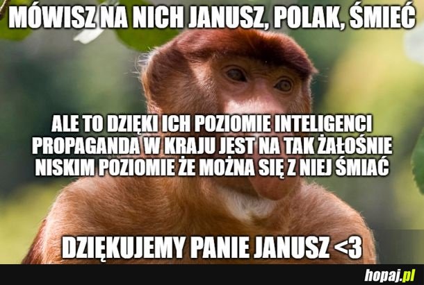 Na coś się przydał