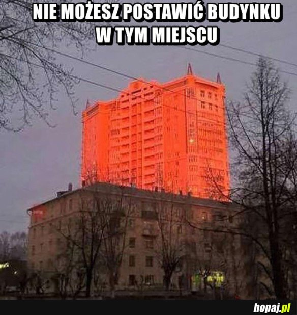 Gracze rozumieją