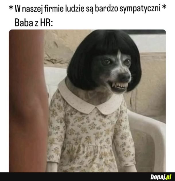 Sympatia aż się wylewa