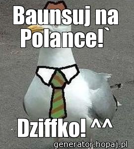 Baunsuj na Polance!`