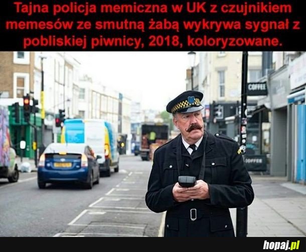 Policja