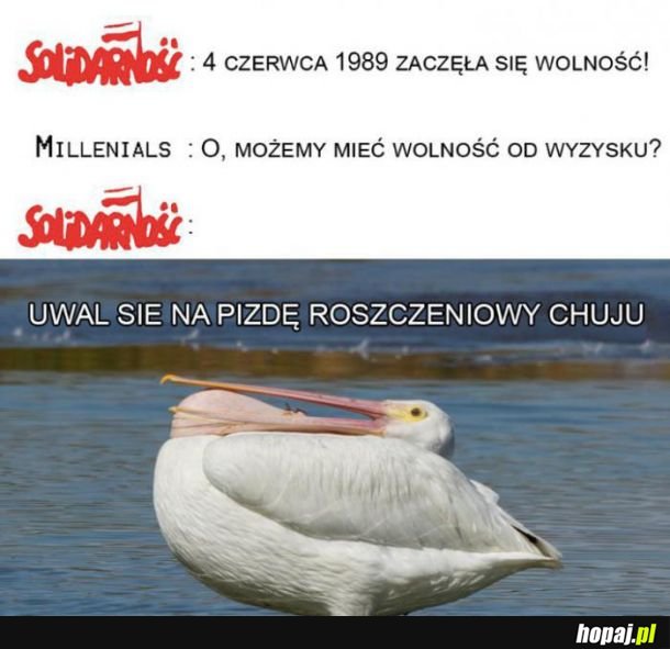 Solidarność 