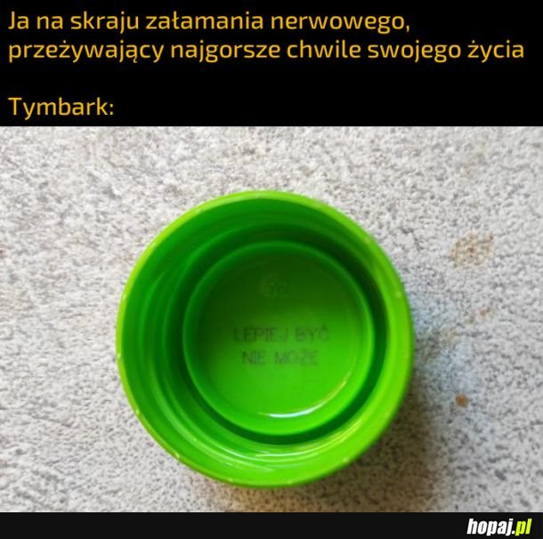 Wsparcie Tymbarka