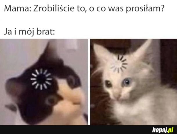 O co nas prosiła?