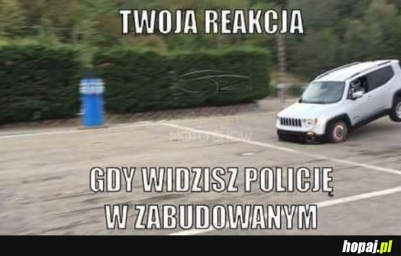 POLICJA W ZABUDOWANYM