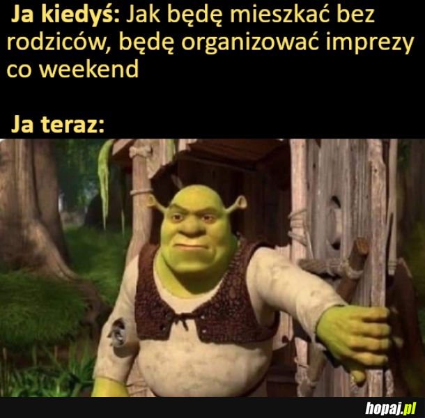 Imprezy co weekend