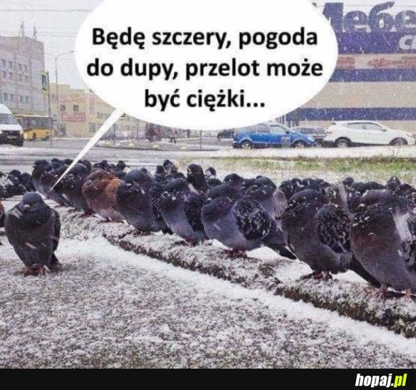 ODPRAWA PRZED BITWĄ