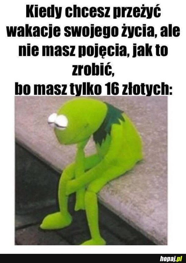 SZALEŃSTWO W WAKACJE