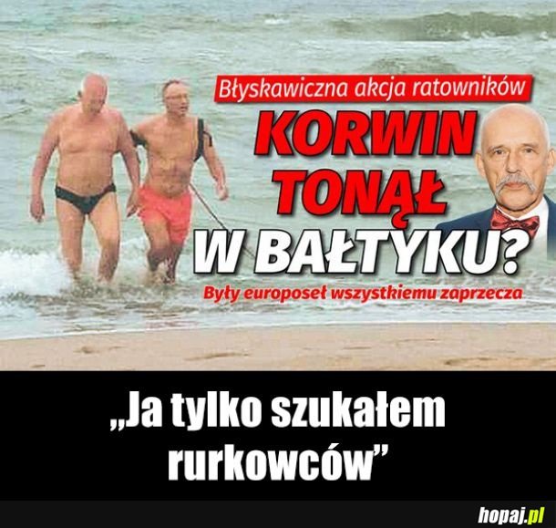 Korwin