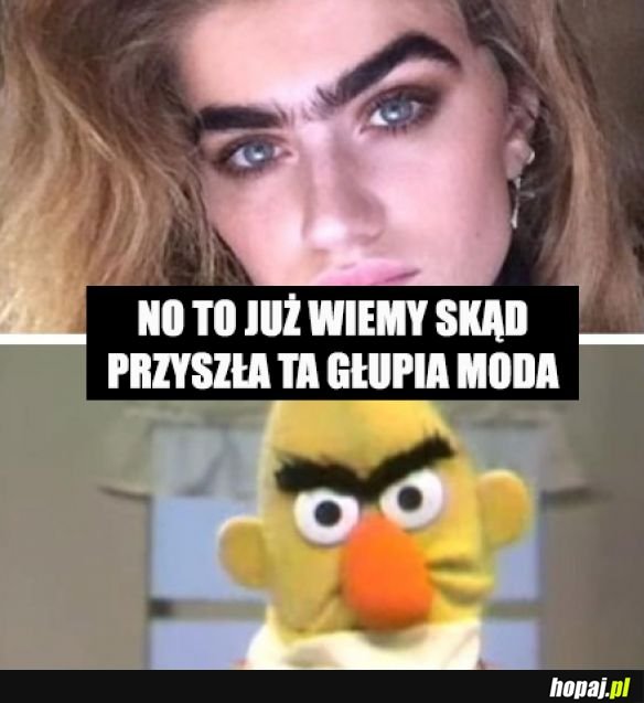 Wspaniała moda