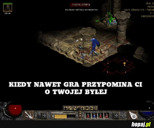 NAWET GRA XD