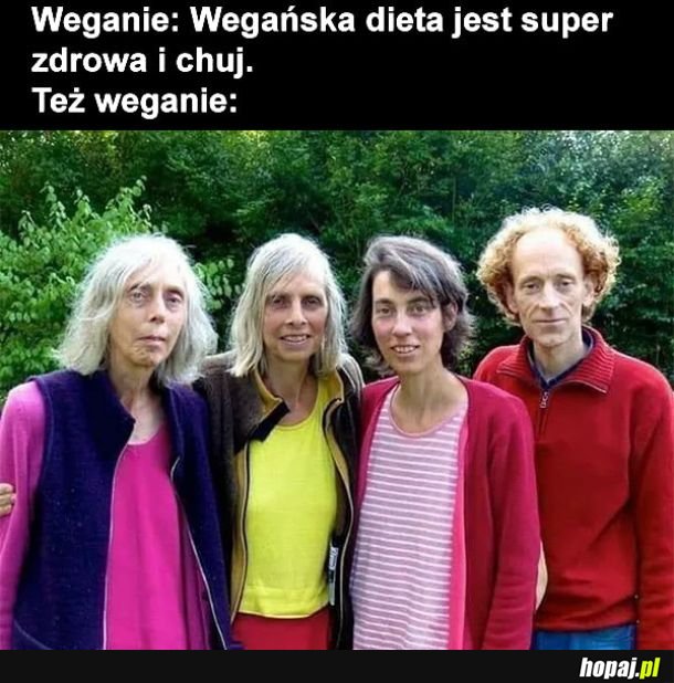 Wege dieta
