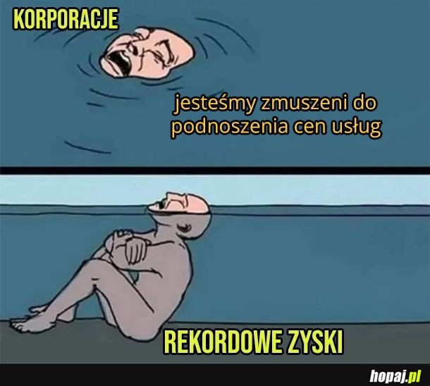 Korporacje
