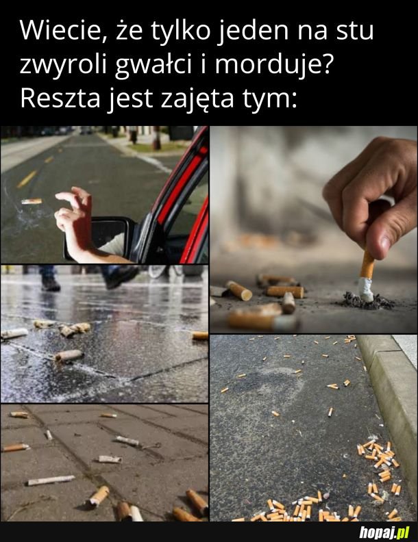 Uważajcie, są tuż obok 