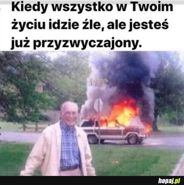 Już nawet nie rozpaczam