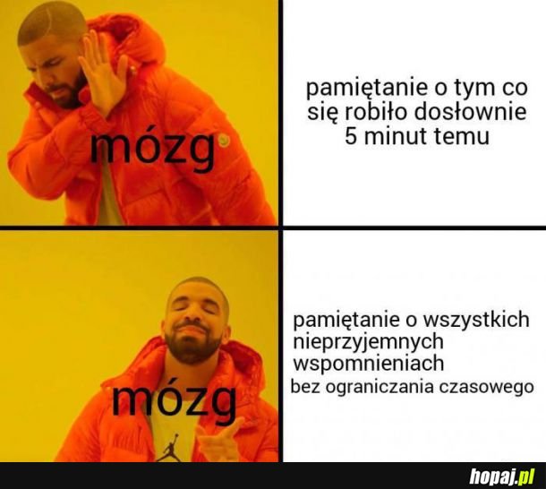 Wtf mózgu