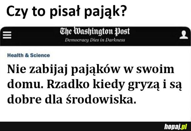 Pająku nice try