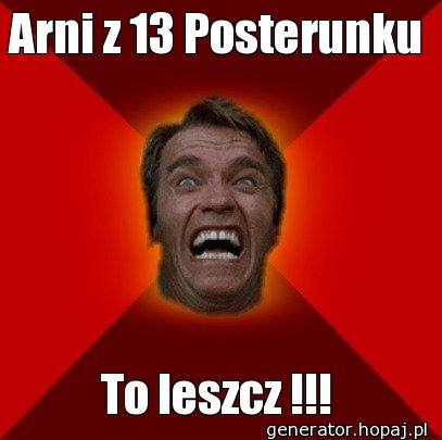 Arni z 13 Posterunku