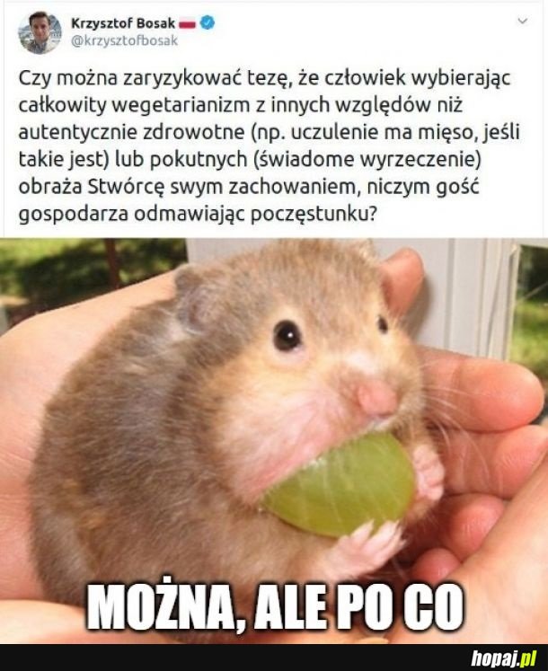 Typowy Bosak