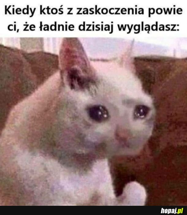 Eee.. dzięki?