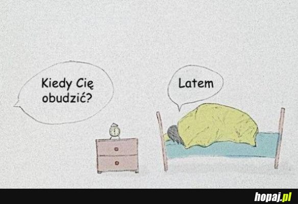 Dokładnie tak...