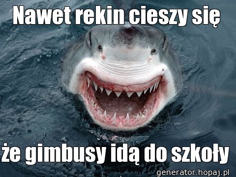 Nawet rekin cieszy się