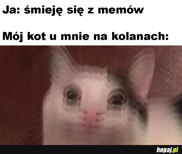Turbulencje