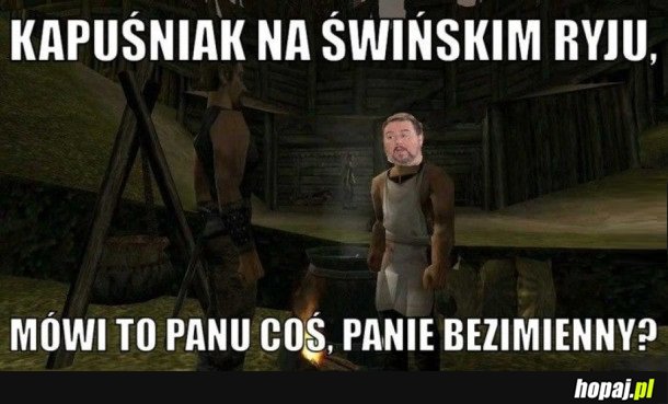 BOCZEK W GOTHICKU