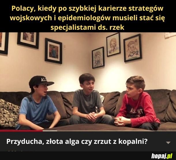 Polacy