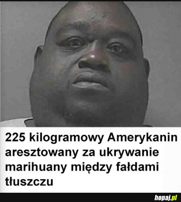 KRYJÓWKA NA NARKOTYKI