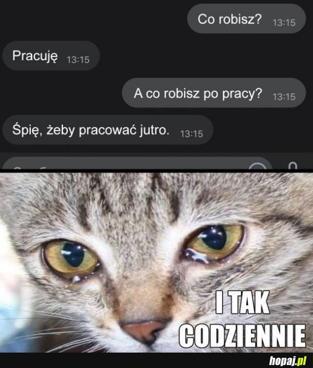 Proza życia