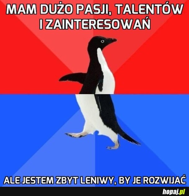 ROZWIJANIE ZAINTERESOWAŃ