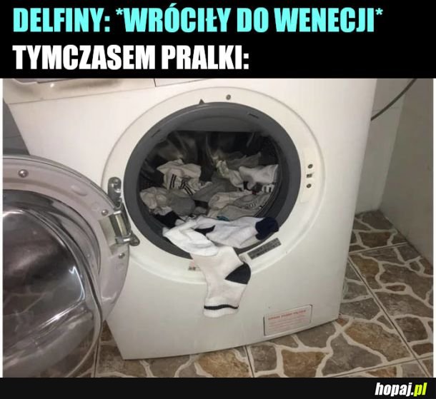 Wracają