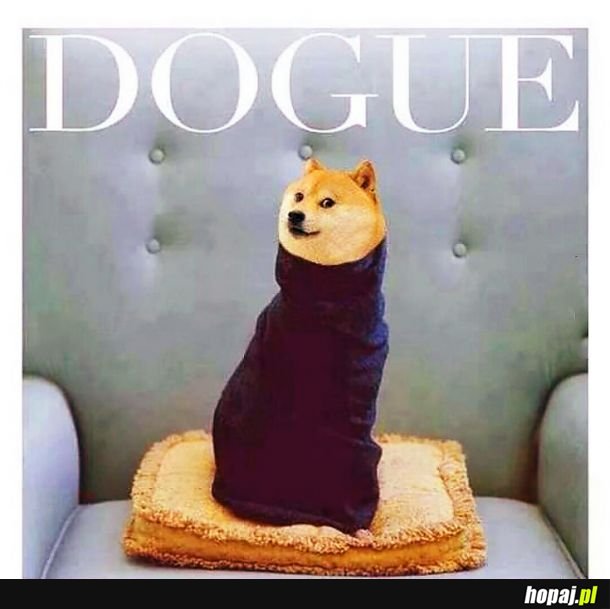 Dogue