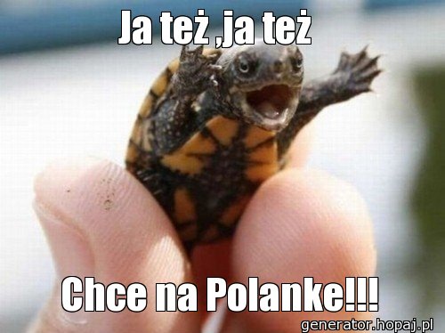 Ja też ,ja też 