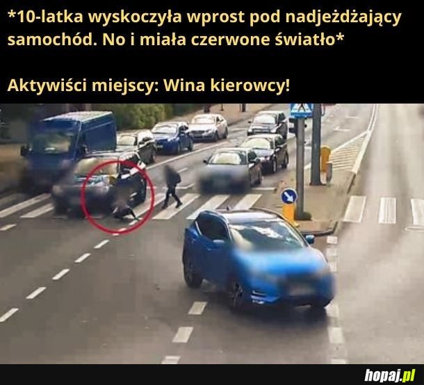 Ewidentna wina kierowcy