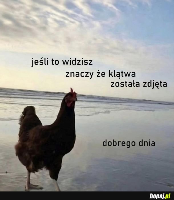 Już po wszystkim