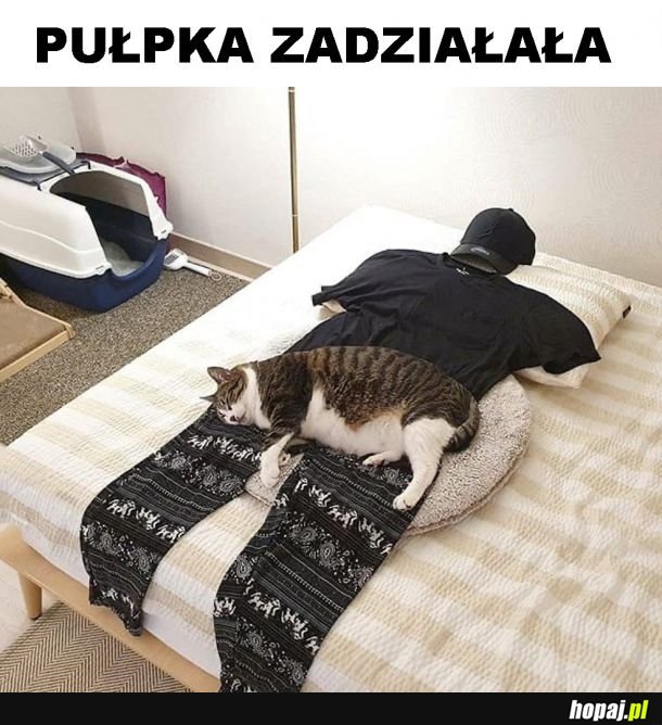 Pułapka