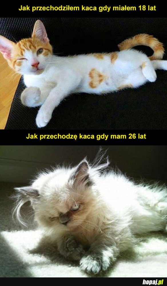 Kac morderca