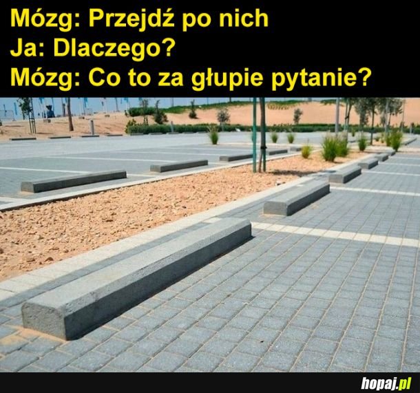 Przejdź po nich