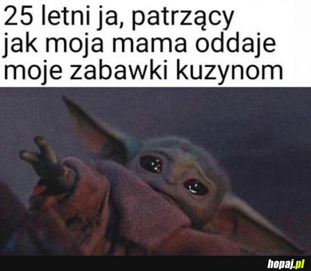 Moje zabawki