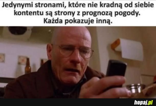 Coś w tym jest