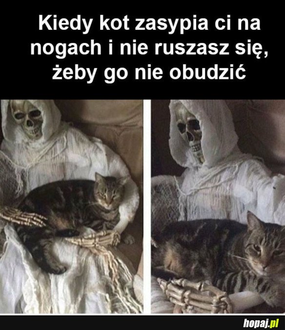 NIECH SOBIE ŚPI