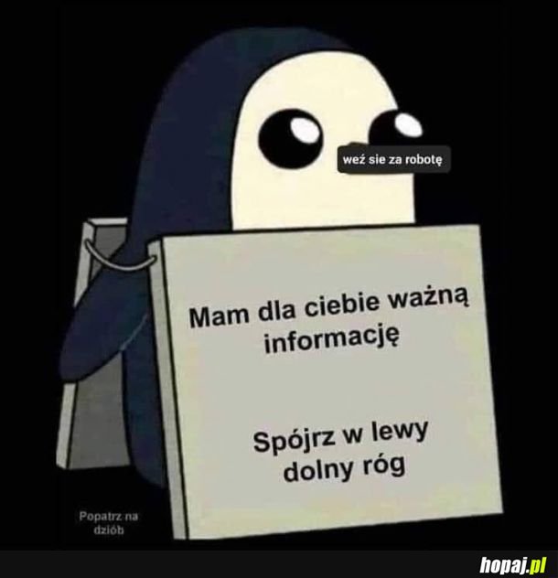 Niby wtorek, a poniedziałek