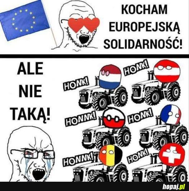 Solidarność