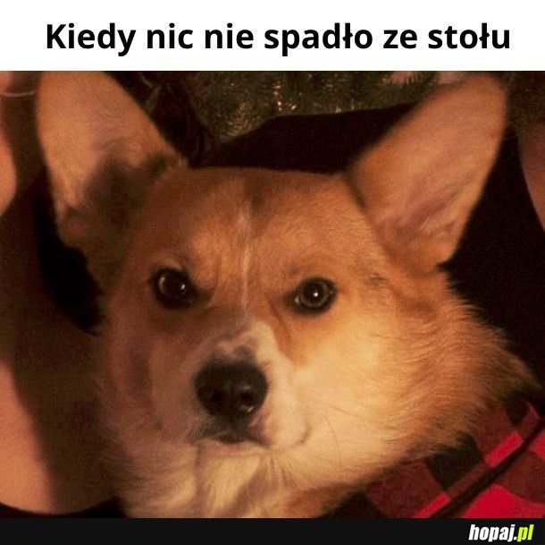 Bardzo niełanie